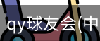 QY球友会官网