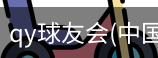 QY球友会官网